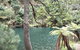 Jenolan Caves And Blue Mountains Tour From Sydney - thumb 2