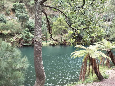 Jenolan Caves And Blue Mountains Tour From Sydney - Mackay Tourism 2