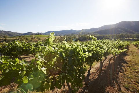 Scenic Hunter Valley Winery Tour With Boutique Wineries & Local Cheese - Mackay Tourism 6
