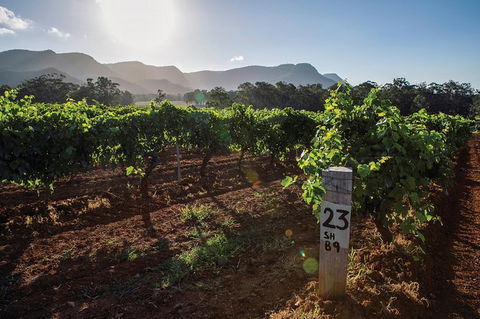 Scenic Hunter Valley Winery Tour With Boutique Wineries & Local Cheese - Mackay Tourism 9