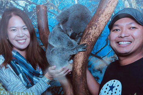 Blue Mountains Private Day Tour From Sydney With Wildlife Park And Cruise - Mackay Tourism 1