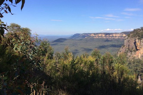 Blue Mountains Private Day Tour From Sydney With Wildlife Park And Cruise - Mackay Tourism 3