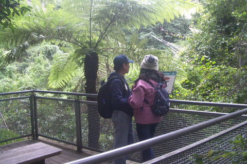 Blue Mountains Private Day Tour From Sydney With Wildlife Park And Cruise - Mackay Tourism 13