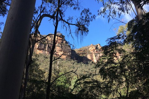 Blue Mountains Private Day Tour From Sydney With Wildlife Park And Cruise - Mackay Tourism 10