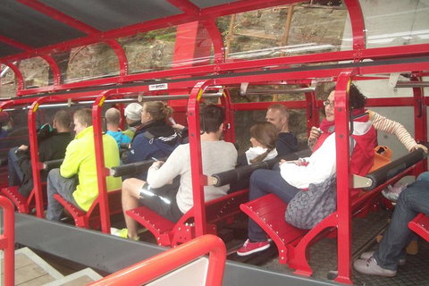 Blue Mountains Private Day Tour From Sydney With Wildlife Park And Cruise - Mackay Tourism 16