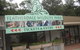 Blue Mountains Private Day Tour From Sydney With Wildlife Park And Cruise - thumb 12