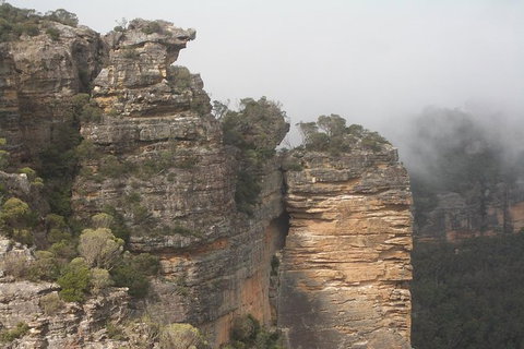 Blue Mountains Private Day Tour From Sydney With Wildlife Park And Cruise - Mackay Tourism 5