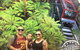 Blue Mountains Private Day Tour From Sydney With Wildlife Park And Cruise - thumb 4