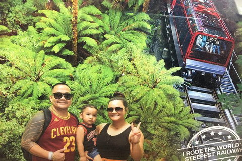 Blue Mountains Private Day Tour From Sydney With Wildlife Park And Cruise - Mackay Tourism 4