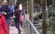 Blue Mountains Private Day Tour From Sydney With Wildlife Park And Cruise - thumb 8