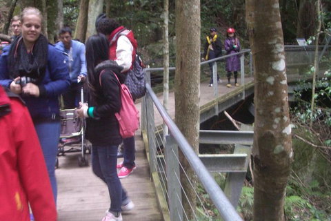 Blue Mountains Private Day Tour From Sydney With Wildlife Park And Cruise - Mackay Tourism 8