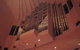 Sydney Opera House Behind-the-Scenes Guided Backstage Tour - thumb 24