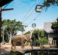 Sydney Taronga Zoo General Entry Ticket and Wild Australia Experience - Mackay Tourism