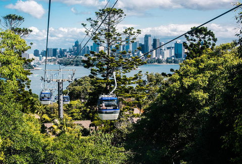 Sydney Taronga Zoo General Entry Ticket And Wild Australia Experience - Mackay Tourism 13