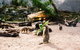 Sydney Taronga Zoo General Entry Ticket And Wild Australia Experience - thumb 10