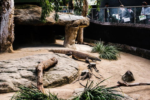 Sydney Taronga Zoo General Entry Ticket And Wild Australia Experience - Mackay Tourism 11