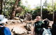 Sydney Taronga Zoo General Entry Ticket And Wild Australia Experience - thumb 8