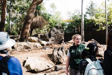 Sydney Taronga Zoo General Entry Ticket And Wild Australia Experience - Mackay Tourism 8