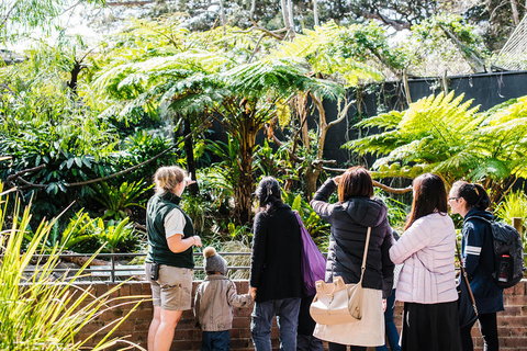 Sydney Taronga Zoo General Entry Ticket And Wild Australia Experience - Mackay Tourism 14