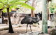 Sydney Taronga Zoo General Entry Ticket And Wild Australia Experience - thumb 20