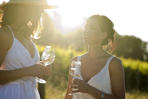 Hunter Valley Wine Tour From Sydney With Lunch And 3 Cellar Door Tastings - Mackay Tourism 0