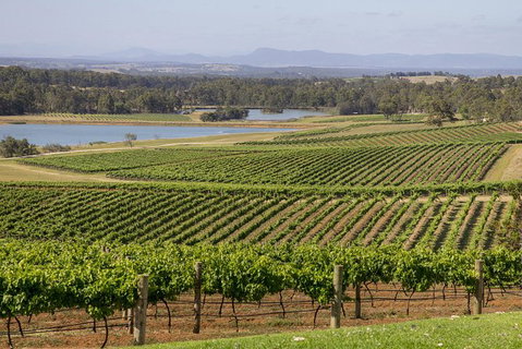 Hunter Valley Wine Tour From Sydney With Lunch And 3 Cellar Door Tastings - Mackay Tourism 1