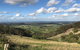 Hunter Valley Wine Tour From Sydney With Lunch And 3 Cellar Door Tastings - thumb 5