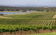 Hunter Valley Wine Tour From Sydney With Lunch And 3 Cellar Door Tastings - thumb 3