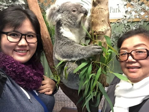Small-Group Blue Mountains Day Trip From Sydney With Wildlife Park - Mackay Tourism 23