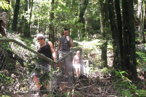 Small-Group Blue Mountains Day Trip From Sydney With Wildlife Park - Mackay Tourism 32