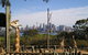 Sydney Taronga Zoo\'s Australian Animals Tour - thumb 0