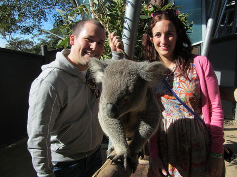 Sydney Taronga Zoo\'s Australian Animals Tour - Mackay Tourism 7
