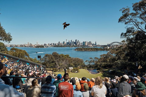 Sydney Taronga Zoo\'s Australian Animals Tour - Mackay Tourism 10