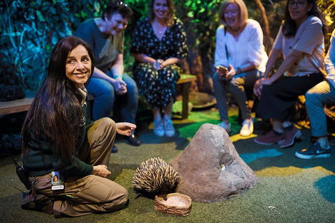 Sydney Taronga Zoo\'s Australian Animals Tour - Mackay Tourism 12