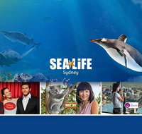 Sydney Attractions Pass SEA LIFE Aquarium Sydney Tower Eye WILD LIFE Zoo and Madame Tussauds - Mackay Tourism