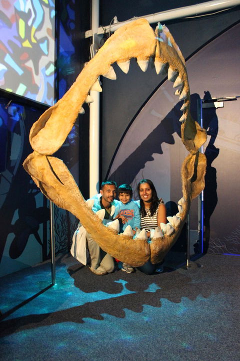 SEA LIFE Sydney Aquarium Entrance Ticket - Mackay Tourism 6
