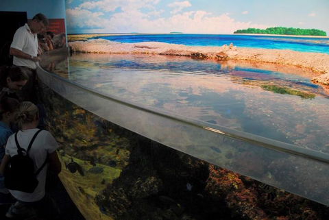 SEA LIFE Sydney Aquarium Entrance Ticket - Mackay Tourism 24