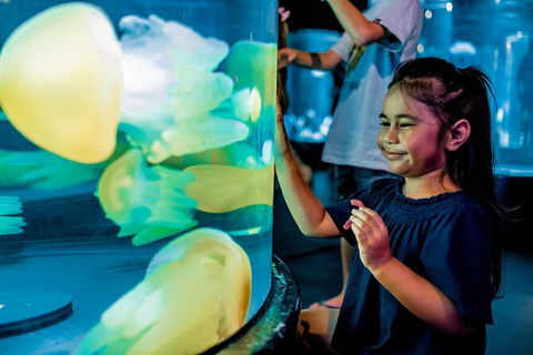 SEA LIFE Sydney Aquarium Entrance Ticket - Mackay Tourism 26