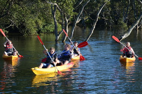 Kayak And SUP Guided Tours - Mackay Tourism 0
