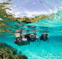 Sydney 3-Hour Snorkeling Tour - Mackay Tourism