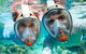 Sydney 3-Hour Snorkeling Tour - thumb 1