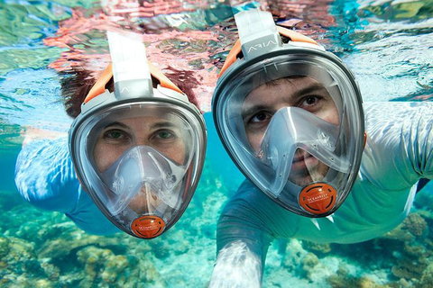 Sydney 3-Hour Snorkeling Tour - Mackay Tourism 1