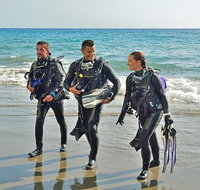 Sydney Guided Shore Dive - Mackay Tourism
