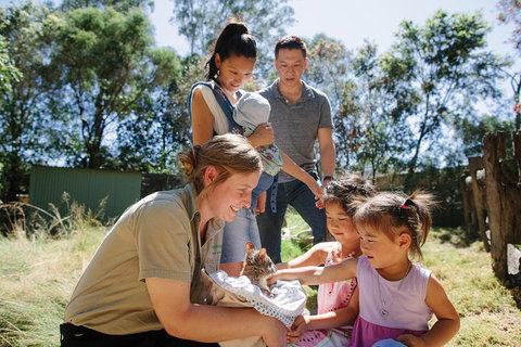 Featherdale Wildlife Park General Admission - Mackay Tourism 4