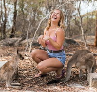 Hunter Valley Wine and Wildlife Reserve Tour from Sydney - Mackay Tourism