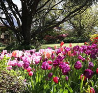Spring Gardens in the Blue Mountains Private Tour Limited Time Only - Mackay Tourism