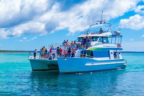 Jervis Bay Whale Watching Tour - Mackay Tourism 2