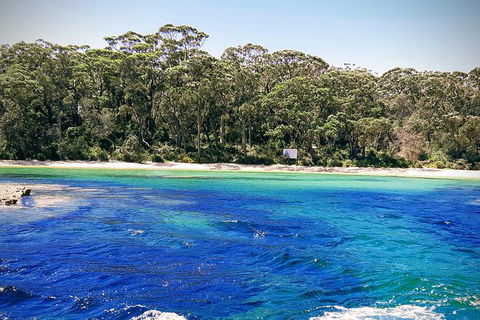 Jervis Bay Passage Tour - Mackay Tourism 1
