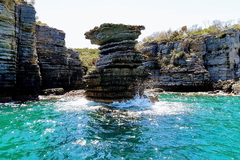 Jervis Bay Passage Tour - Mackay Tourism 15