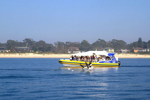 Jervis Bay Passage Tour - Mackay Tourism 16